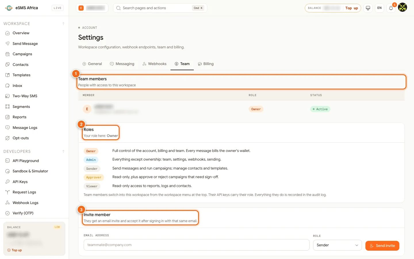 eSMS Settings Team tab with team members, roles explained and the invite form numbered 1 to 3