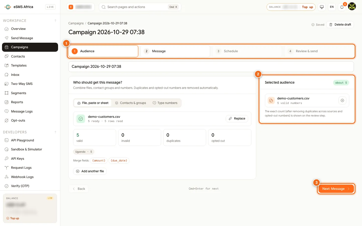 Campaign wizard after Check and import with the four steps, selected audience panel and Next: Message numbered 1 to 3
